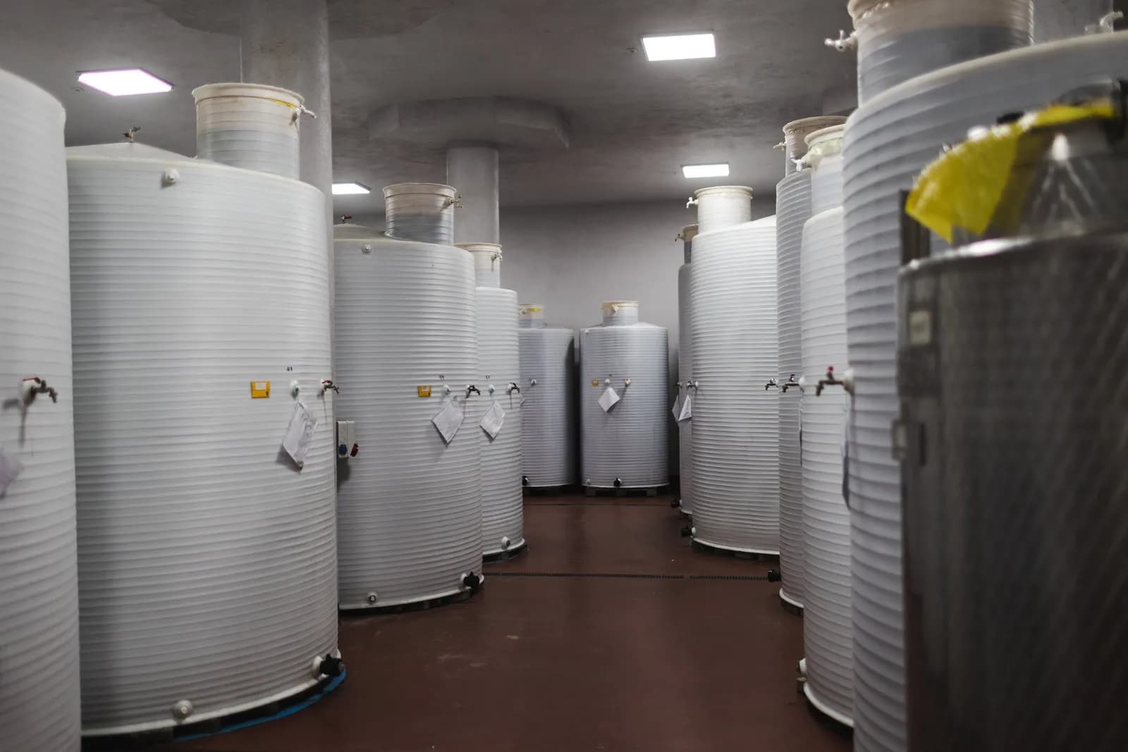 Rows of stainless-steel fermentation tanks inside a winery.