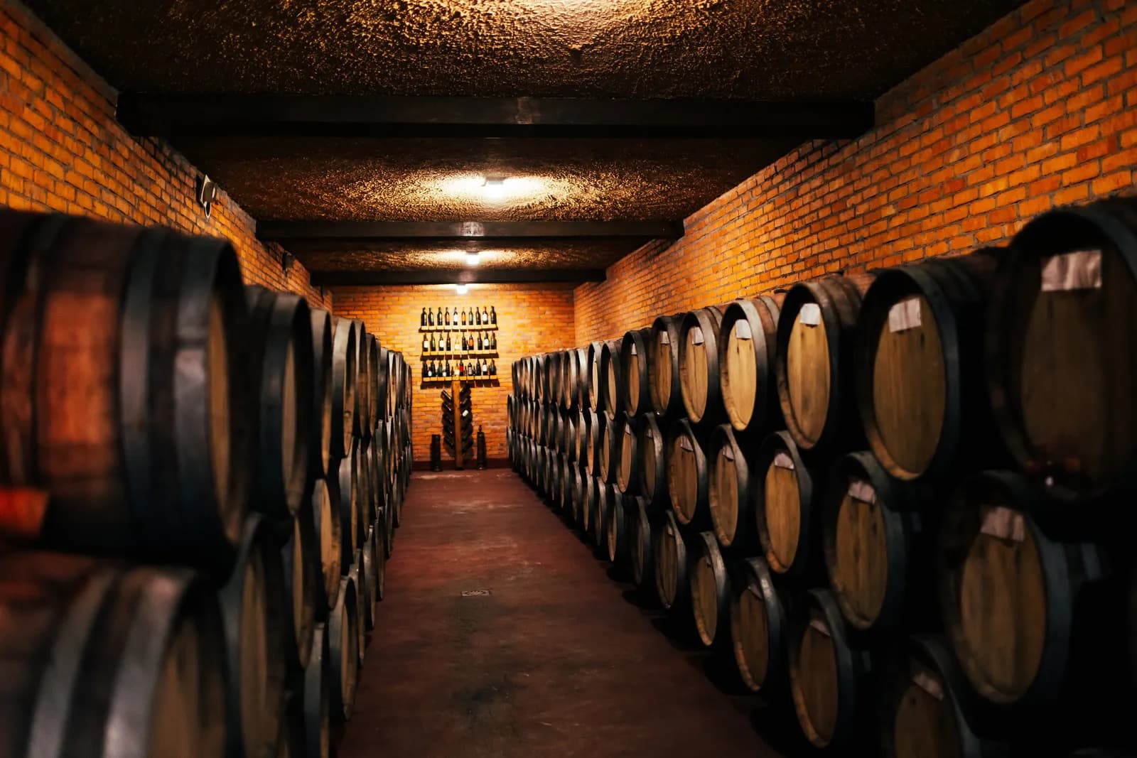 A long cellar corridor lined with oak barrels under a brick vault.